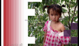 麻豆羞,揭秘网络红人的崛起之路